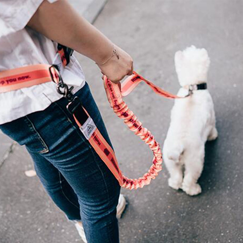 Adjustable Hand Free Dog Leash - огляд і ціна Running Gear Belt