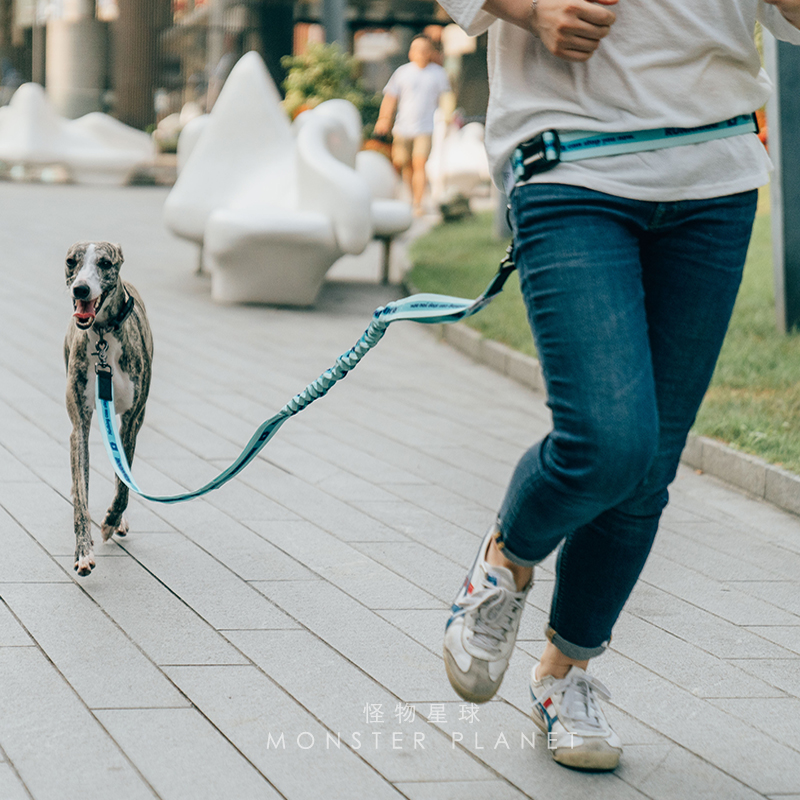 Adjustable Hand Free Dog Leash - огляд і ціна Running Gear Belt