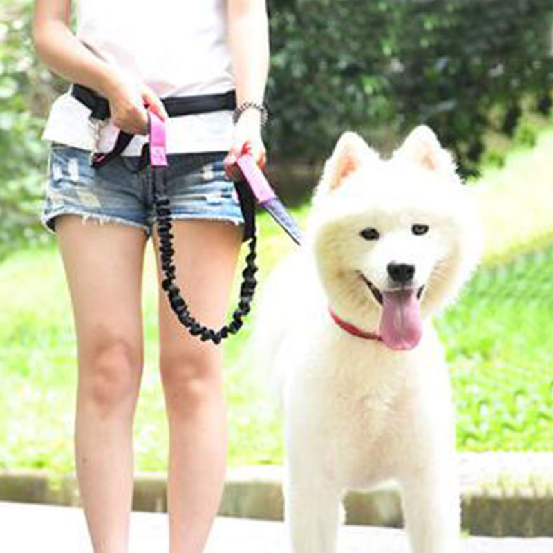 Adjustable Hand Free Dog Leash - огляд і ціна Running Gear Belt